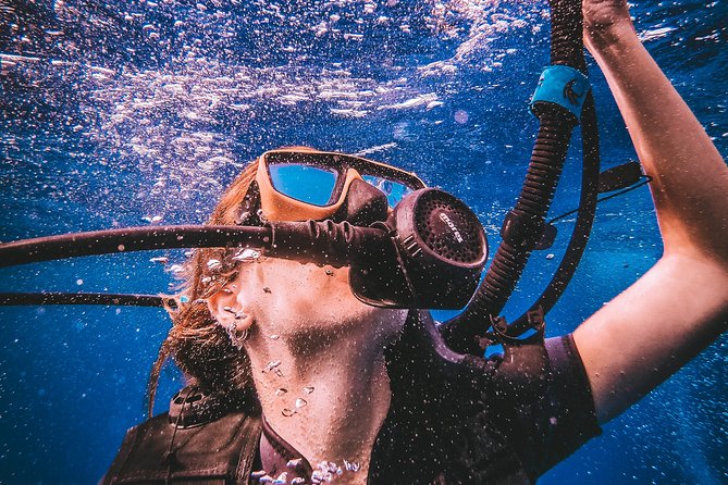 Open Water Course - Price, Value, and What $376 Really Buys