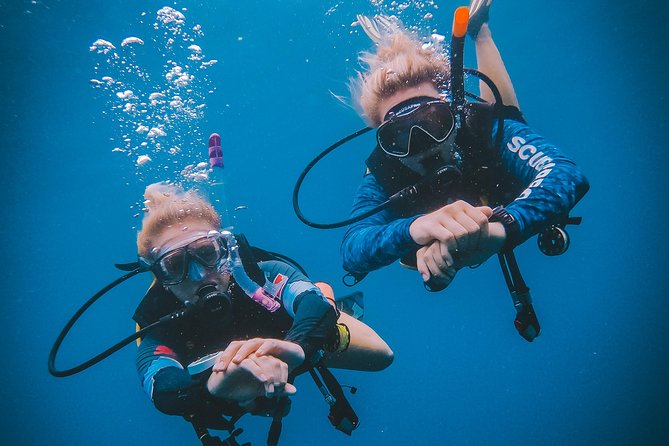 Open Water Course - Who This Course Is Best For (and Who Might Wait)