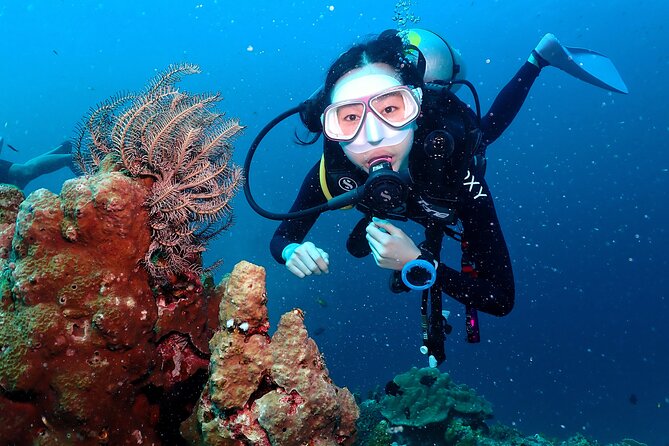 Open Water Course - Become certified diver in 3 days - Key takeaways before you commit