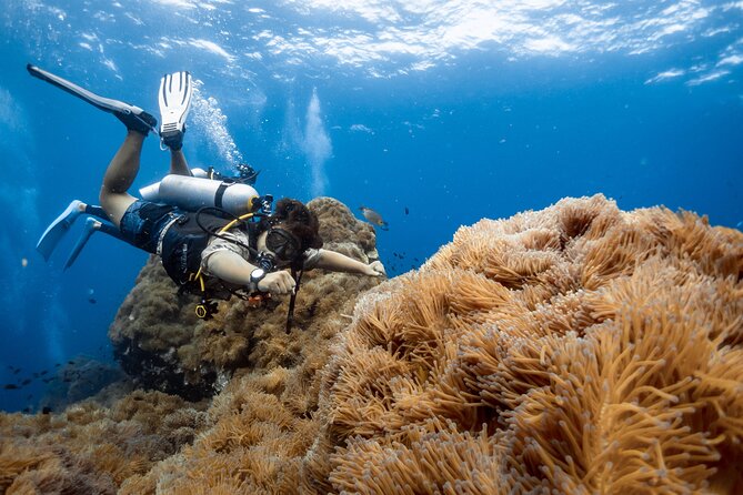 Open Water Course - Become certified diver in 3 days - Instructor style matters more than you think