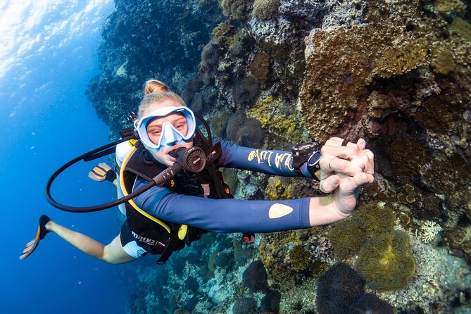Open Water Course - Become certified diver in 3 days - Price and value: is $358.72 a fair deal for 3 days?
