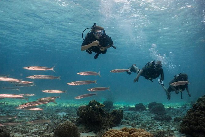 PADI Discover Scuba Diving Experience Full Day Trip - Koh Haa in high season, or Bida Islands near Phi Phi in low season