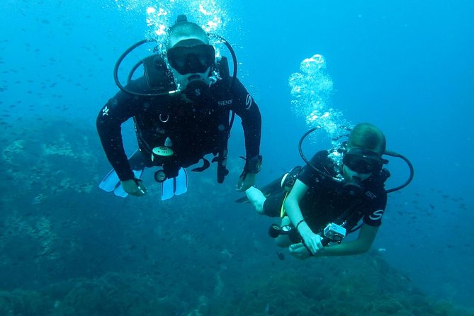 PADI Discover Scuba Diving in Koh Tao - half day and two dives - Key highlights that matter in real life
