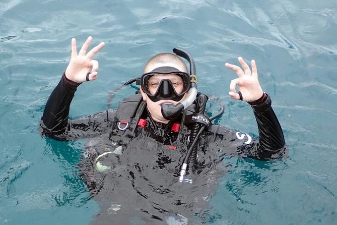 PADI Discover Scuba Diving in Koh Tao - half day and two dives - The second session, up to 12 meters and reef life in the Gulf of Thailand