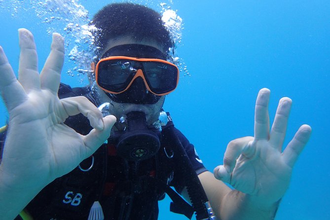 PADI Discover Scuba Diving in Koh Tao - half day and two dives - What’s included, and what you should budget for