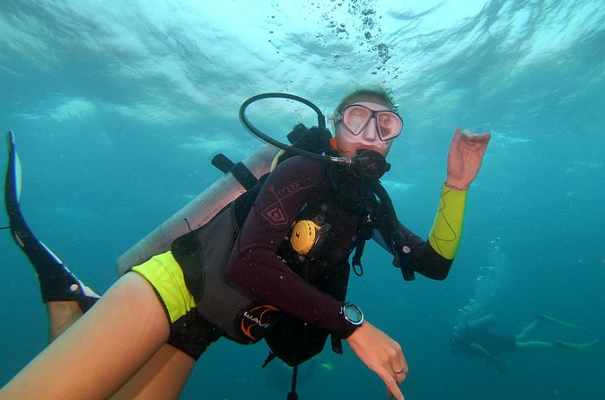 PADI Open Water Diver Course in Koh Phangan - Sail Rock underwater moments: fish life, deep water comfort, and wildlife surprises