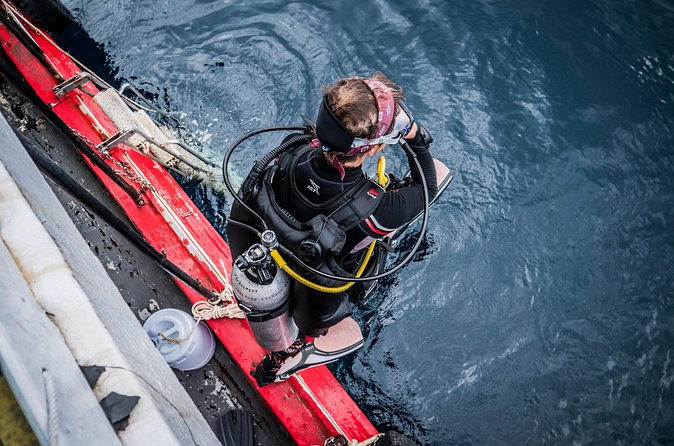 PADI Open Water Diver Course in Koh Phangan - Should you book the PADI Open Water Diver course in Koh Phangan?