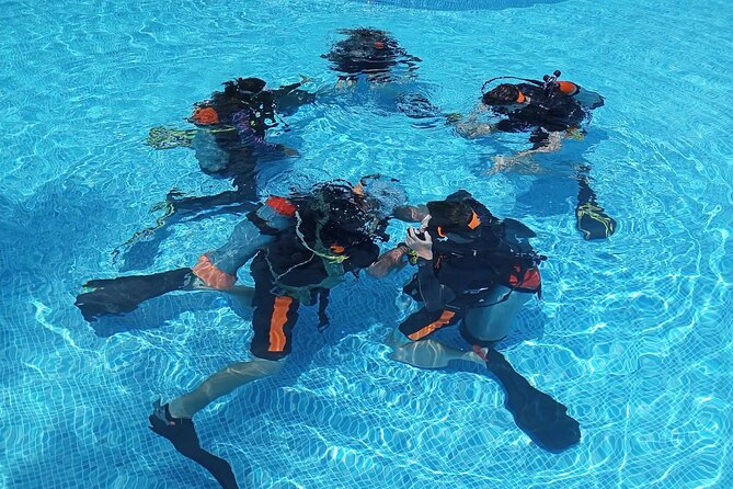 Padi open water diver course (Start at Ko Kut) - Day 1 at Bang Bao Beach: theory plus shore skills