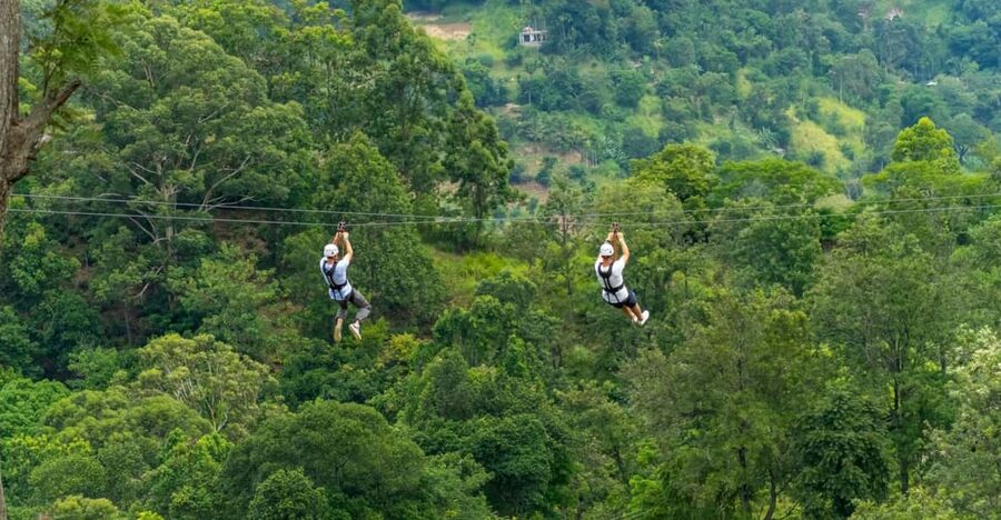 Pai: Jungle Ziplining Adventure with 16 Platforms - Pai Jungle Ziplining: Why 16 Platforms Feels Like More Than One Big Ride