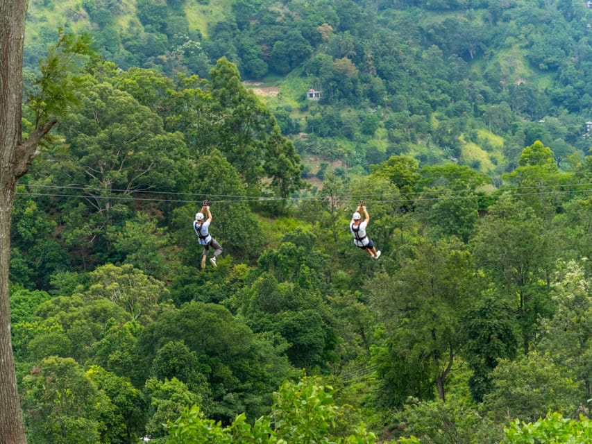 Pai: Jungle Ziplining Adventure with 16 Platforms - Where to Meet and How the 1-Hour Session Actually Flows