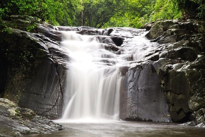 Pala U Waterfall in Kaeng Krachan Jungle with Private Guide from Hua Hin - Kaeng Krachan and Pa La-U, Why This Daytrip Works