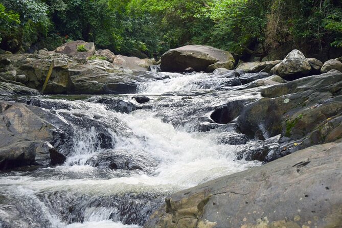 Pala U Waterfall in Kaeng Krachan Jungle with Private Guide from Hua Hin - Into the Park by 10:30, the Road Moment That Can Steal the Show