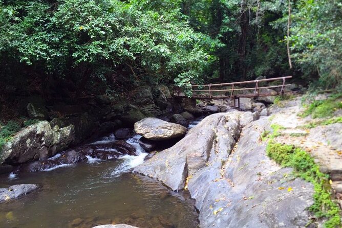 Pala U Waterfall in Kaeng Krachan Jungle with Private Guide from Hua Hin - Guides, Pace, and the One Thing You Should Pay Attention To