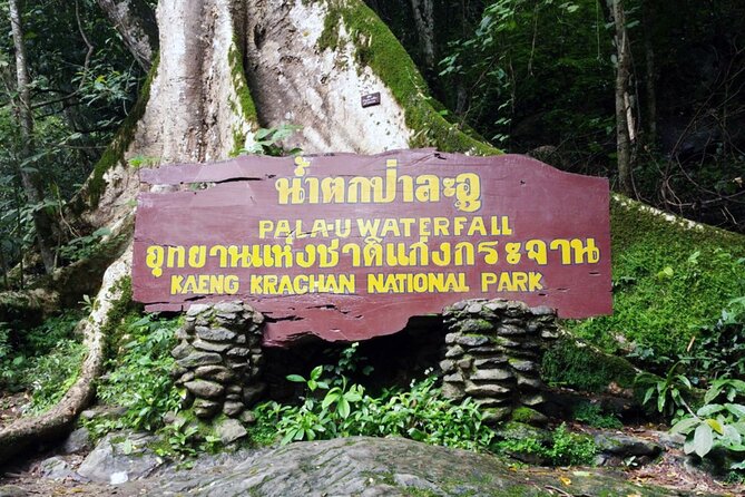 Pala U Waterfall in Kaeng Krachan Jungle with Private Guide from Hua Hin - Getting the Timing Right, A 6 to 7 Hour Nature Schedule