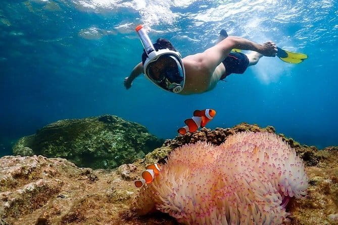 Pattaya Coral Island Tour with Indian Lunch and Hotel Transfer - Price value: why $3.77 can be both a bargain and a trade-off