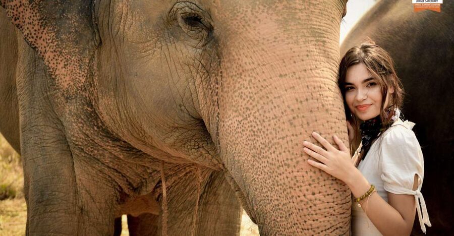 Pattaya: Elephant Jungle Sanctuary Feeding Experience - Key things that make this elephant feeding experience special