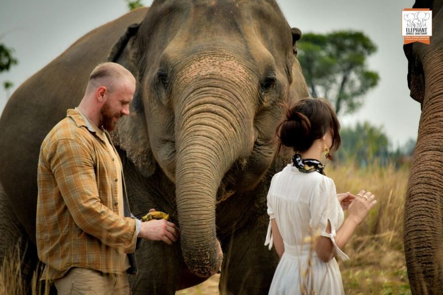 Pattaya: Elephant Jungle Sanctuary Feeding Experience - Check-in to soft drink: what the 30 to 150 minutes really includes