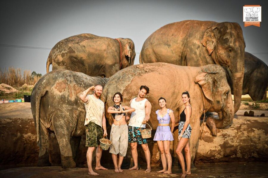 Pattaya: Elephant Jungle Sanctuary Feeding Experience - Timing and getting there when pickup is not included