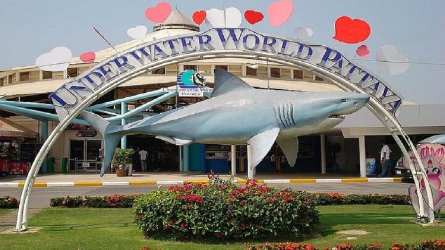 Pattaya: Underwater World Pattaya Aquarium Admission Ticket - Price and Value: What You’re Really Paying For at About $8