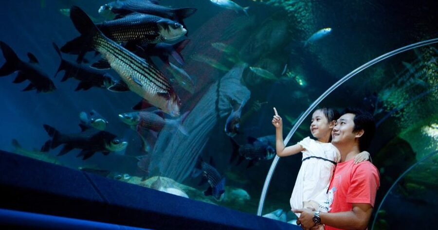 Pattaya: Underwater World Pattaya Aquarium Admission Ticket - Entering Underwater World Pattaya Without the Head-Scratching