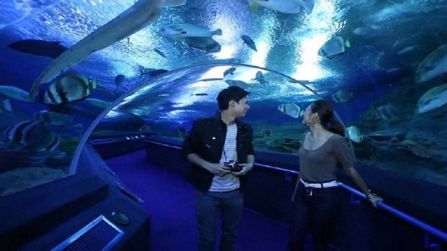 Pattaya: Underwater World Pattaya Aquarium Admission Ticket - Touch Pool Zone: The Closest Thing to Interaction
