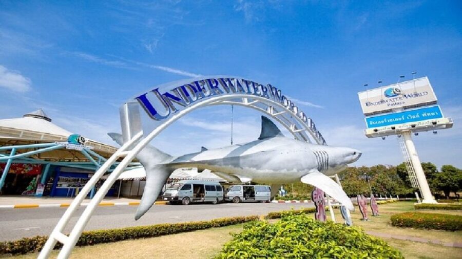 Pattaya: Underwater World Pattaya Aquarium Admission Ticket - Timing Your Visit in Pattaya, From 9:00 to Last Entry at 5:30