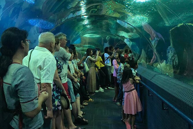 Pattaya Underwater World Tickets with Optional Hotel Pickup - Entering the 100-Metre Glass Tunnel: The Part That Changes the Mood