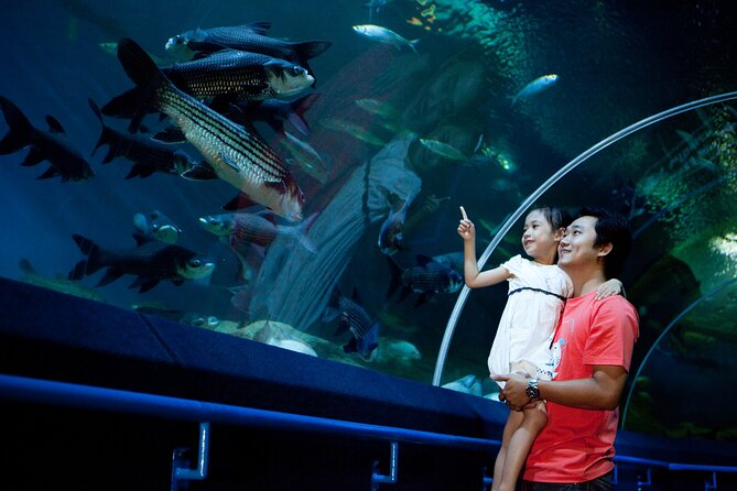 Pattaya Underwater World Tickets with Optional Hotel Pickup - Coral Reef Zone: Colorful Fish and Several Shark Species