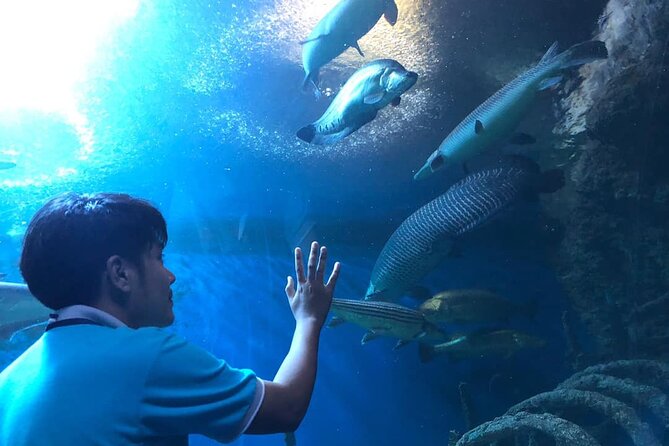 Pattaya Underwater World Tickets with Optional Hotel Pickup - Photo Reality Check: Lighting, Flash Rules, and How to Plan Shots