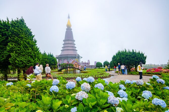 Pha Dok Siew Nature Trail & Doi Inthanon National Park From Chiang Mai - Doi Inthanon’s big-view moments: highest point and the King and Queen Pagodas
