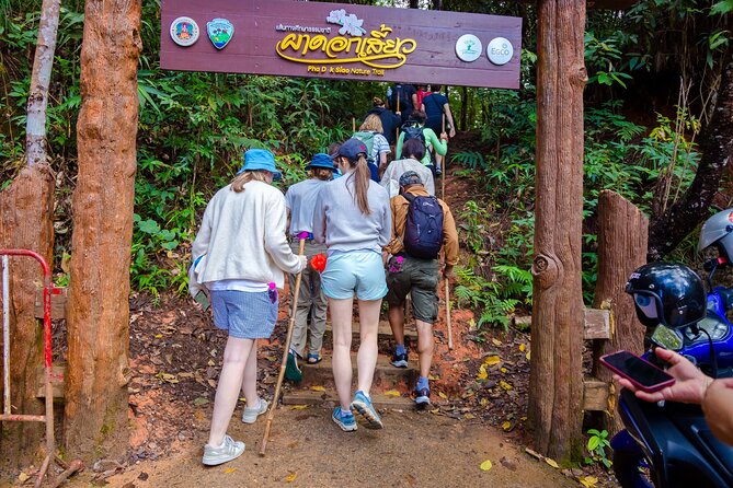 Pha Dok Siew Nature Trail & Doi Inthanon National Park From Chiang Mai - Pha Dok Siew Nature Trail: the part that feels most local