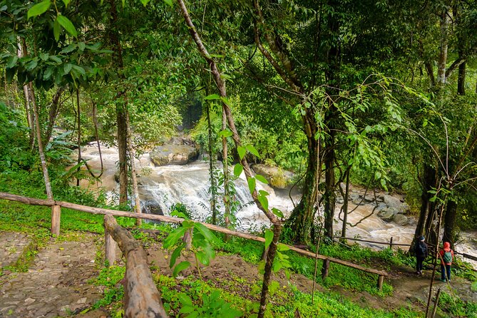 Pha Dok Siew Nature Trail & Doi Inthanon National Park From Chiang Mai - Hill tribe village and market stops, with coffee as a practical bonus