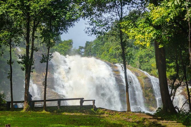 Pha Dok Siew Nature Trail & Doi Inthanon National Park From Chiang Mai - Lunch, timing, and how to plan your day pack