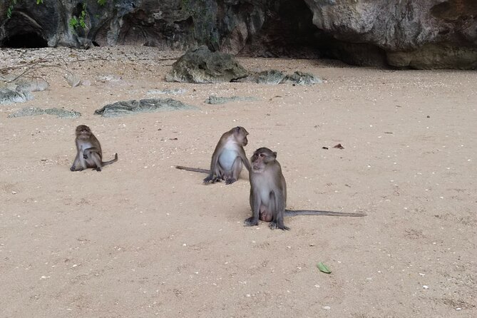 Phang Nga Bay Island Boat Tour By Speedboat By Phuket Sail Tours - Koh Panyee floating village: lunch over the water and a real place to explore