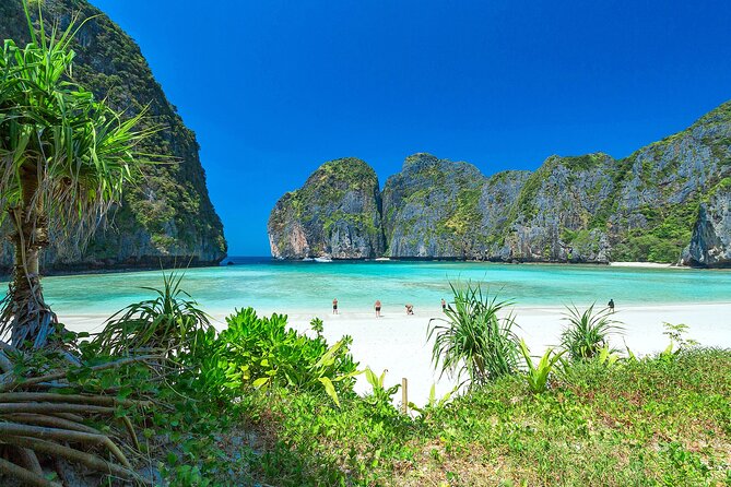 Phi Phi & Bamboo Island Full Day Tour by Premium Speed-Catamaran - Ko Phi Phi Don snorkeling and Thai lunch you can actually enjoy
