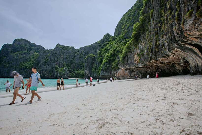 Phi Phi Half Day or Full Day by Longtail to Maya and Bamboo - Monkey Beach to Viking Cave: Wild Monkeys and Cave Stories