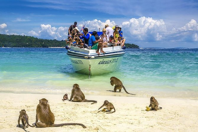 Phi Phi Island from Phuket by Speedboat (SHA Plus) - Koh Khai Nai: 1 hour of snorkeling, swimming, and beach time