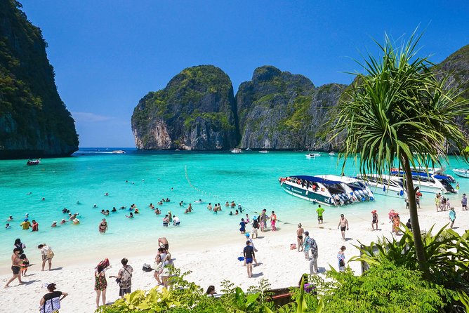 Phi Phi Island from Phuket by Speedboat (SHA Plus) - Snorkeling setup, guide help, and simple safety realities