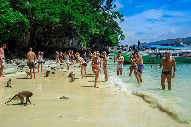 Phi Phi Island Half Day Tour From Phi Phi by Longtail Boat - Monkey Beach and Viking Cave: nature photos and tight schedules