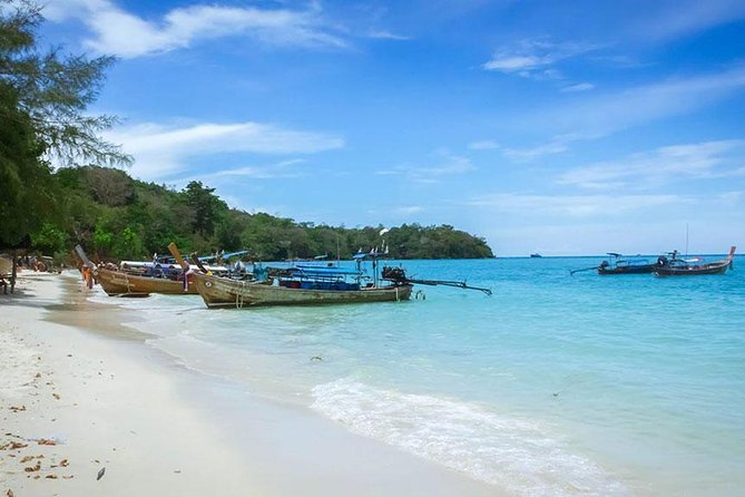 Phi Phi Island Half Day Tour From Phi Phi by Longtail Boat - Price and value: what you really pay for at $20.18