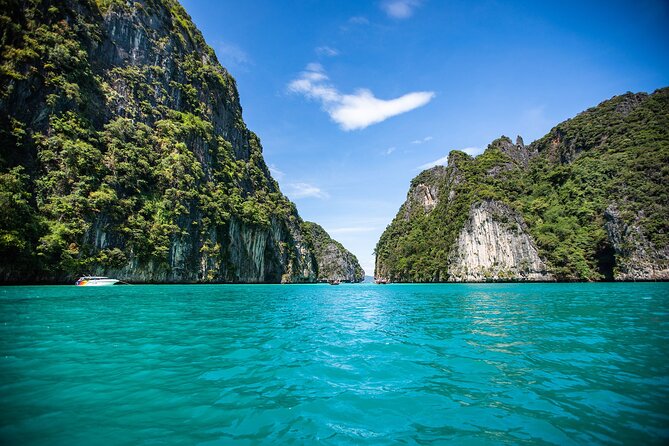 Phi Phi Islands One Day Tour By Speedboat from Krabi - Pileh Bay and Loh Samah Bay: lagoon snorkeling and colorful fish