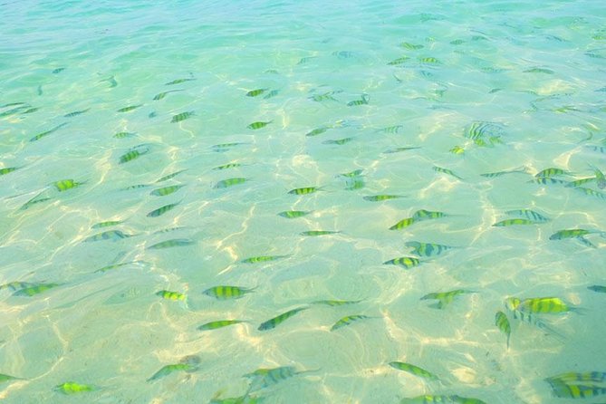Phi Phi Islands One Day Tour by Speedboat From Phuket - Who this Phi Phi one-day speedboat tour suits best