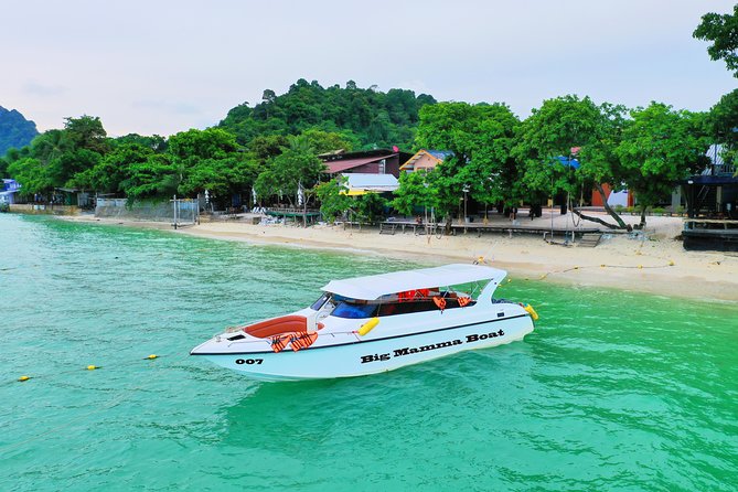 Phi Phi Islands PRIVATE SPEEDBOAT TOUR - Monkey Beach and Yong Kasem Bay: a quick look, not a full zoo visit