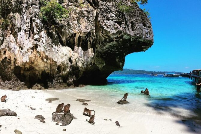 Phi Phi Islands Speedboat Tour Adventure from Krabi - Viking Cave pass-by and Monkey Beach: quick scenic boosts