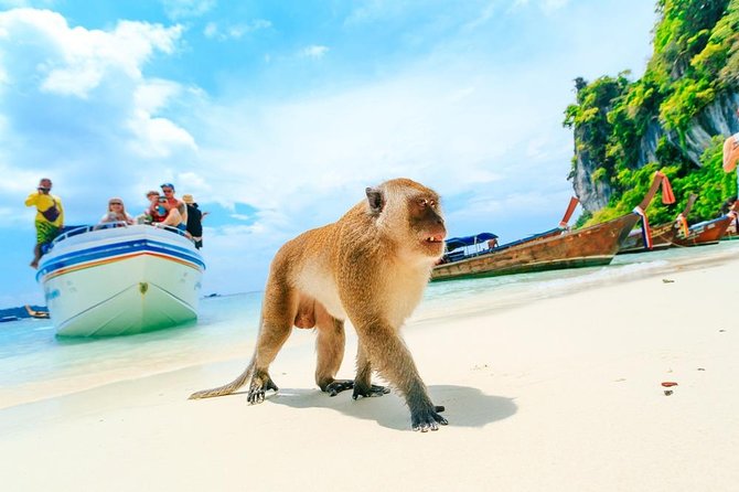 Phi Phi , Khai & Maya : Unforgettable Island Hopping by Speedboat - What Is Included, What Costs Extra, and How to Handle the Upsell Moment