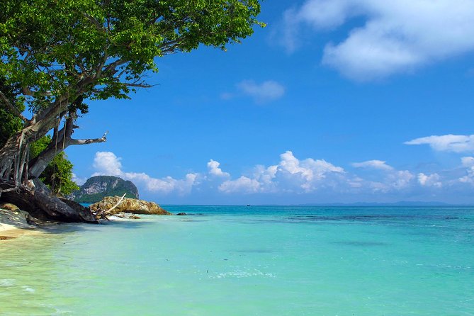 Phi Phi & Maya Bay Speedboat: All-Day Food & Choice of 3 Marinas - Price and Logistics: Where Costs Can Surprise You