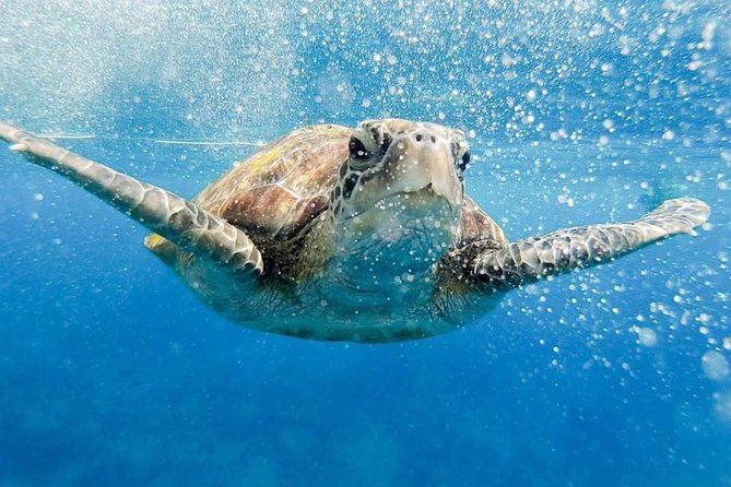 Phi Phi Tour from Krabi , Semi-Private Tour only 12 Guests - Key things I’d clock before you go