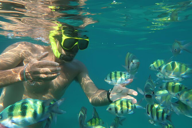 Phuket 3 Khai Island Speedboat With Snorkeling (Half or Full Day) - Phuket 3 Khai Islands by speedboat, the fast path to clear water