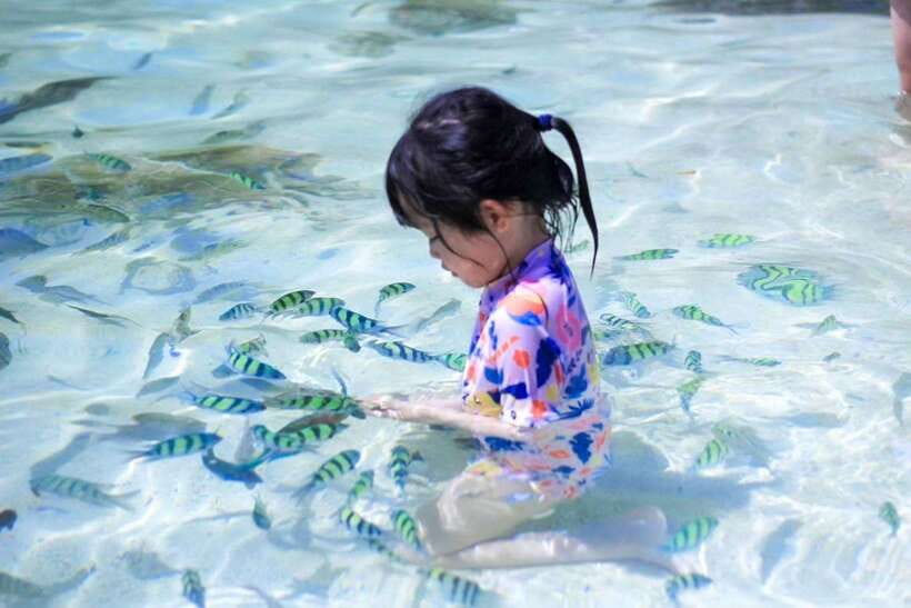 Phuket: 3 Khai Islands Relax & Snorkeling Half/Full Day Tour - Snorkeling Gear, Life Jackets, and Staying Comfortable (Even If You’re Not a Pro)