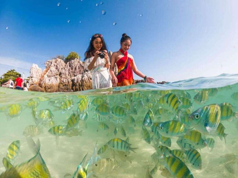 Phuket: 3 Khai Islands Snorkeling Tour - From Phuket to Khai Nai, Nui, and Nok in one smooth half-day